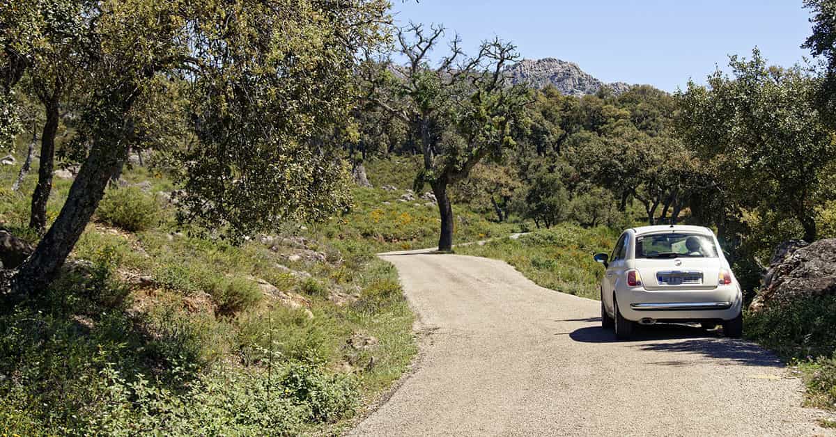 Fiat 500 en carretera rural