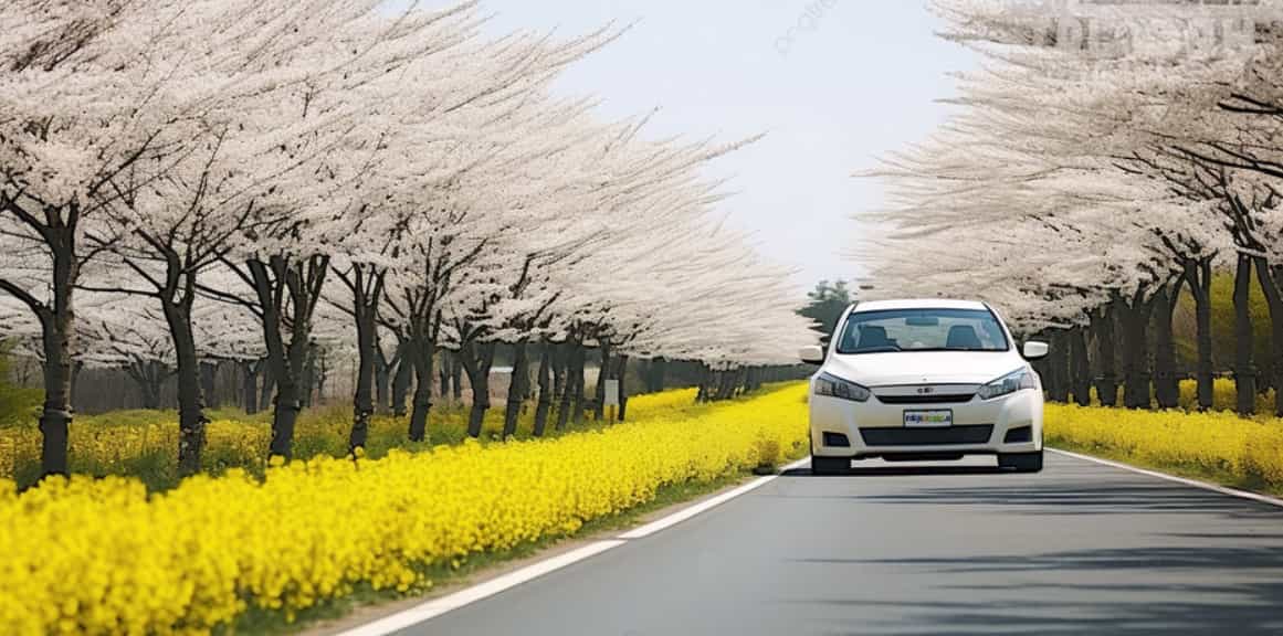 ruta en coche en primavera