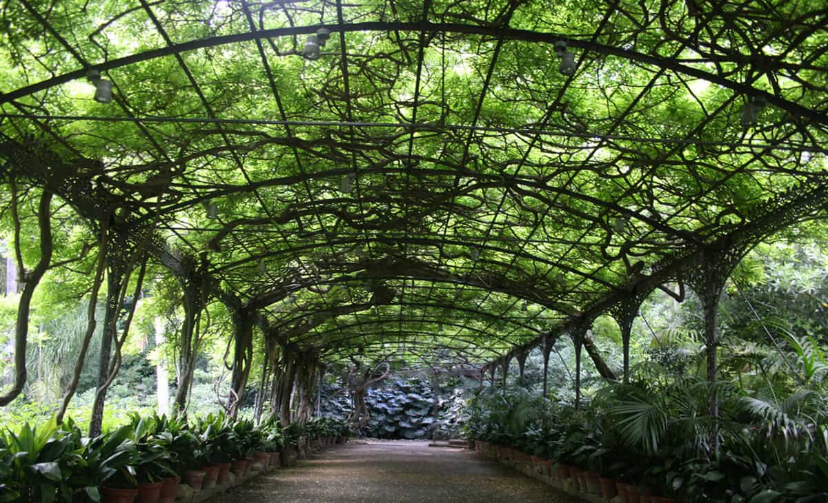 jardin botánico de Málaga