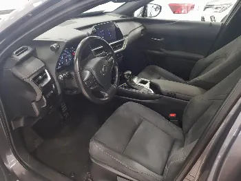 Miniatura Lexus UX