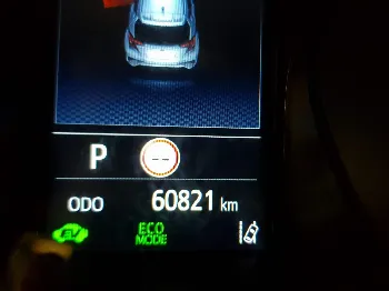 Miniatura Toyota C-HR
