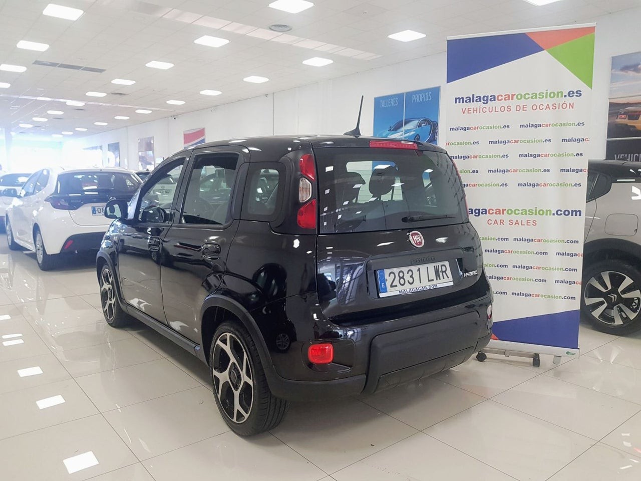 Fiat Panda  de segunda Mano en Málaga
