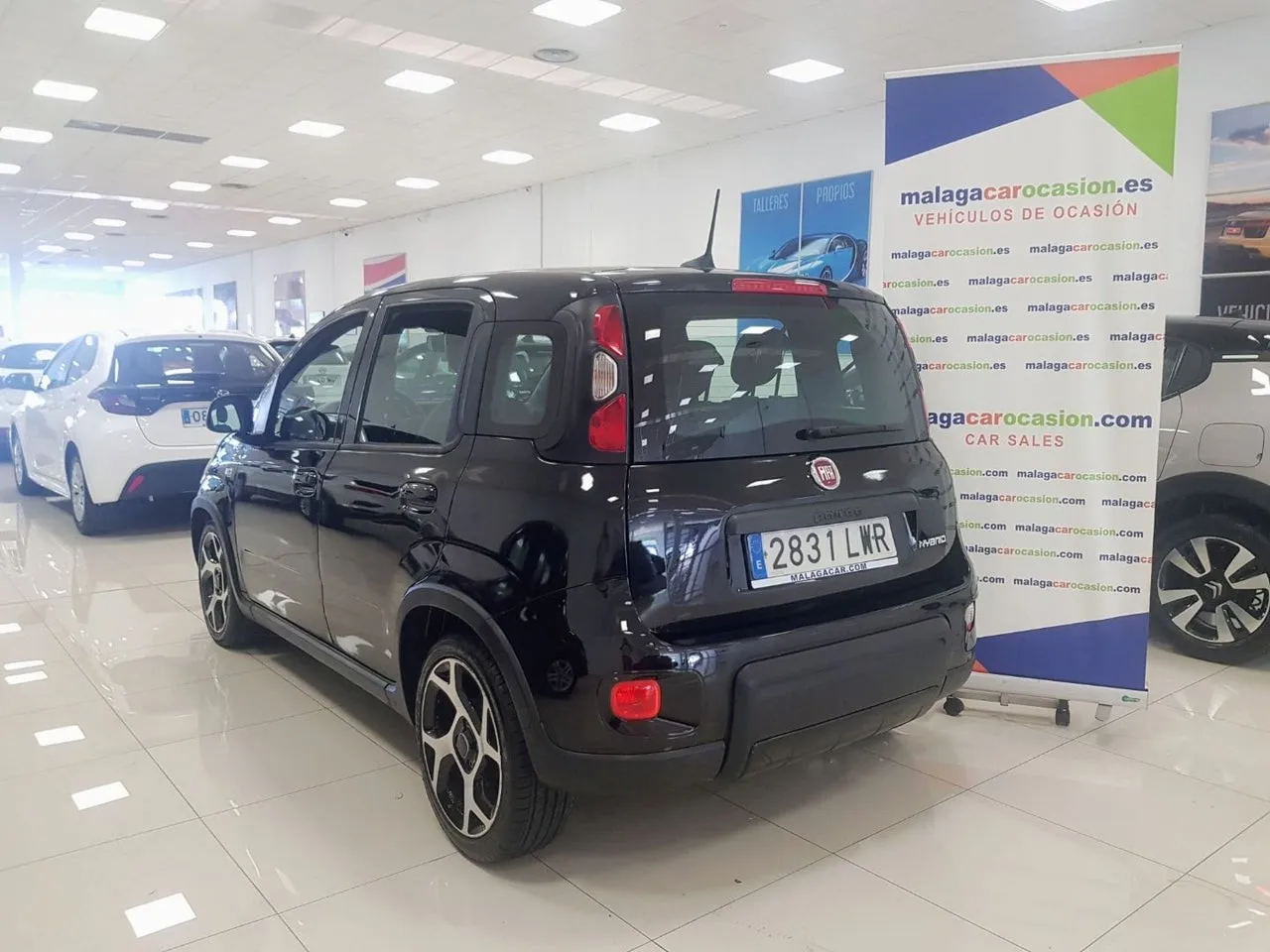 Fiat Panda  de segunda Mano en Málaga