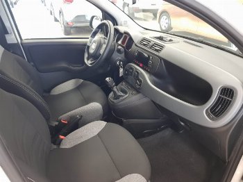 Thumbnail Fiat Panda