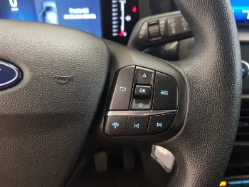 Miniatura Ford Tourneo