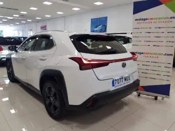 Miniatura Lexus UX250H
