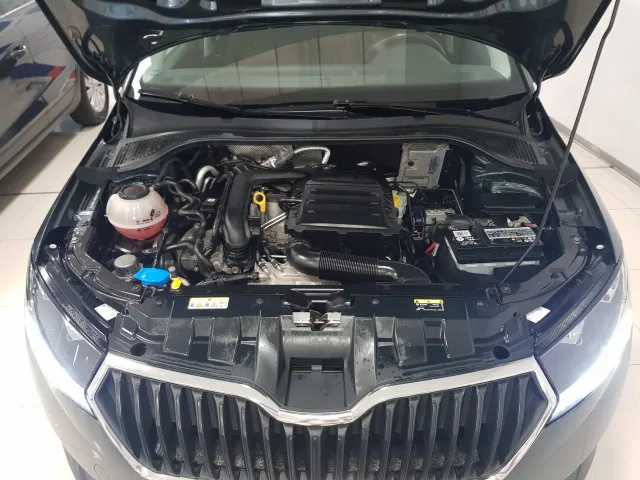 Skoda FABIA  used car in Malaga